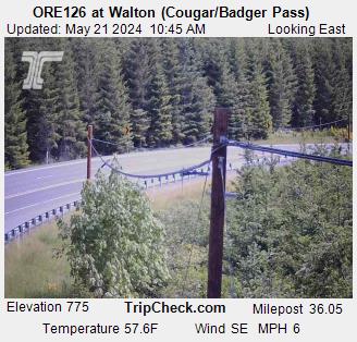 Traffic Cam ORE126 at Walton (Cougar/Badger Pass)